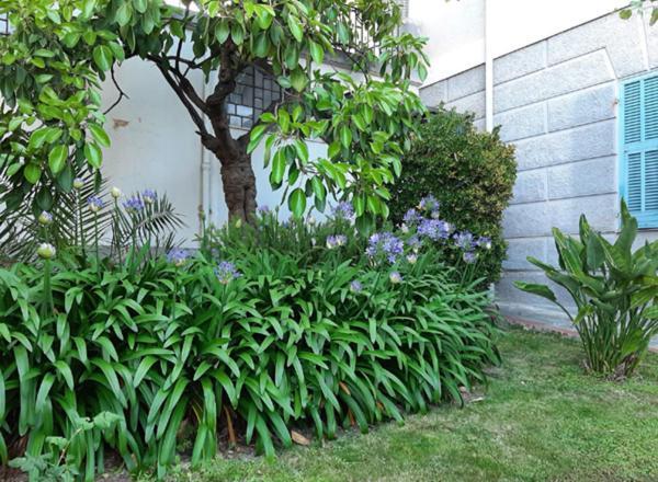 Casa Gazzano Villa Imperia Dış mekan fotoğraf