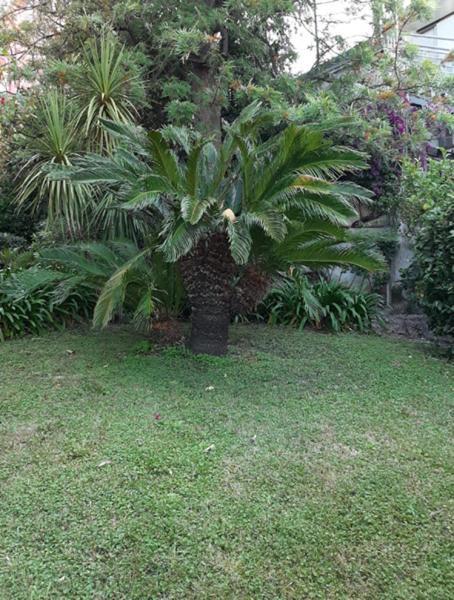 Casa Gazzano Villa Imperia Dış mekan fotoğraf