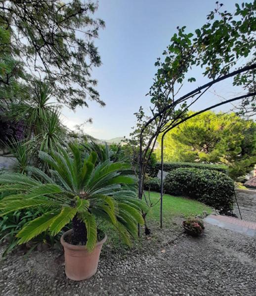 Casa Gazzano Villa Imperia Dış mekan fotoğraf