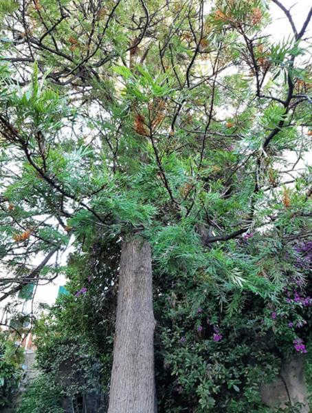 Casa Gazzano Villa Imperia Dış mekan fotoğraf