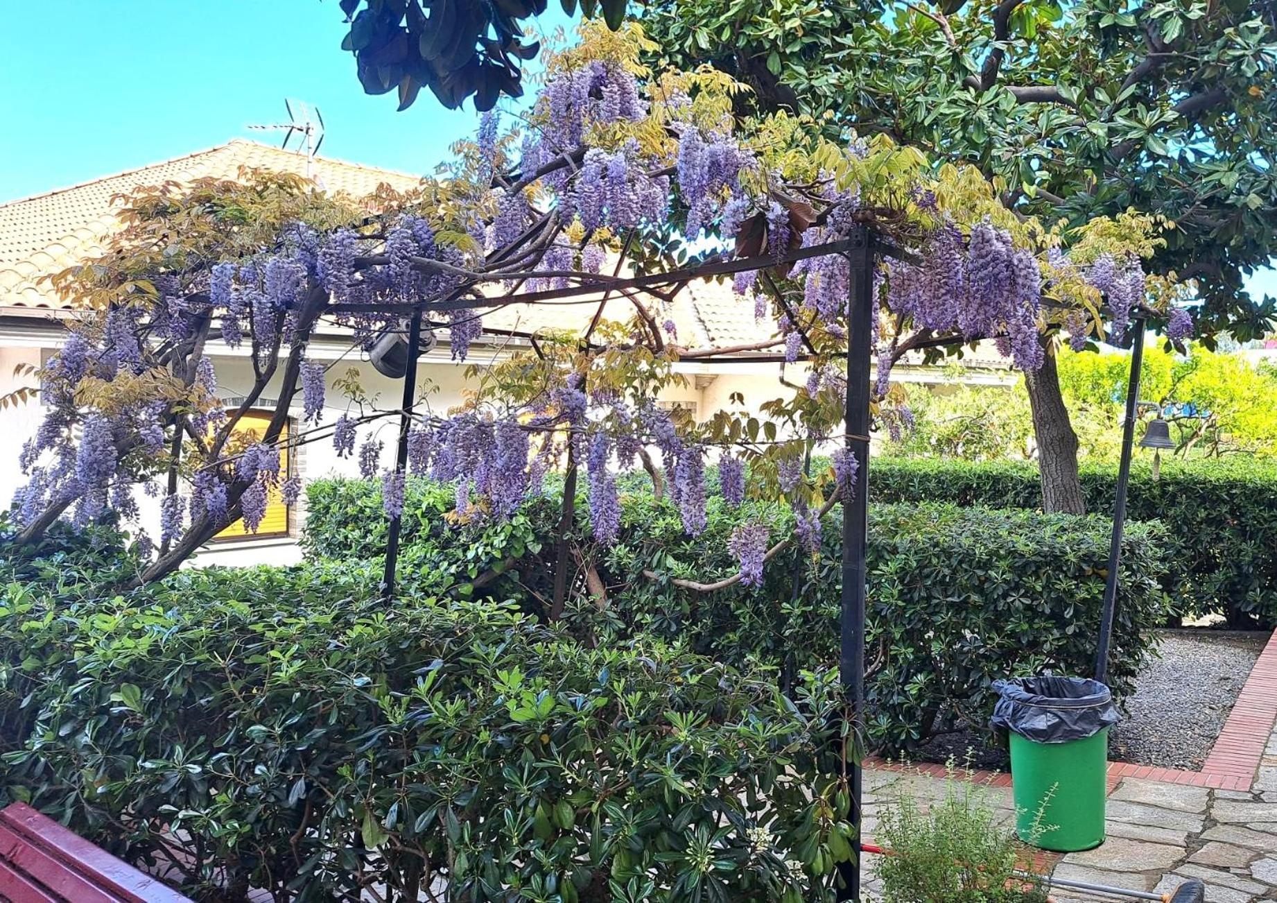 Casa Gazzano Villa Imperia Dış mekan fotoğraf